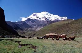 chimborazo